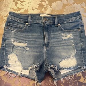 BKE Buckle Parker Distressed Denim Women Shorts